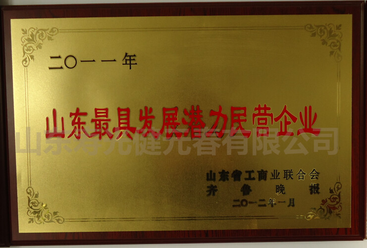 2012年當選為山東最具發(fā)展?jié)摿γ駹I企業(yè)
