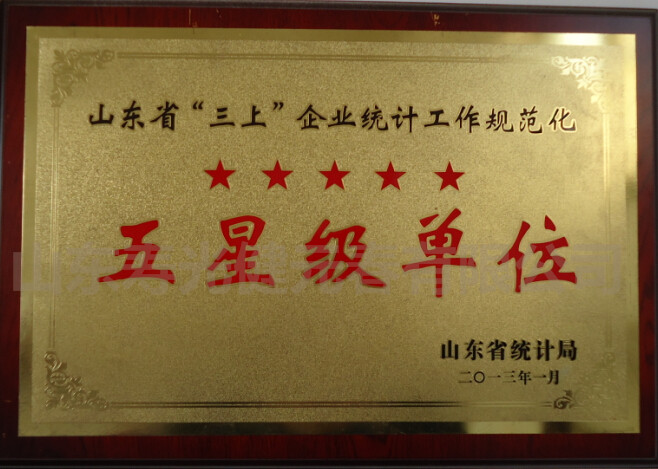 2013年被評為山東省企業(yè)統(tǒng)計工作規(guī)范化五星級單位