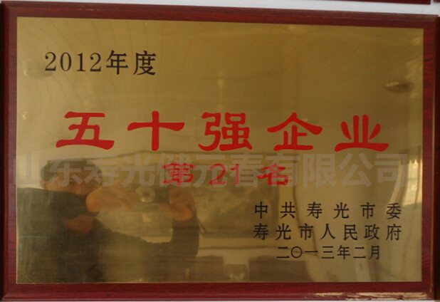 2013年被評為五十強企業(yè)第二十一名